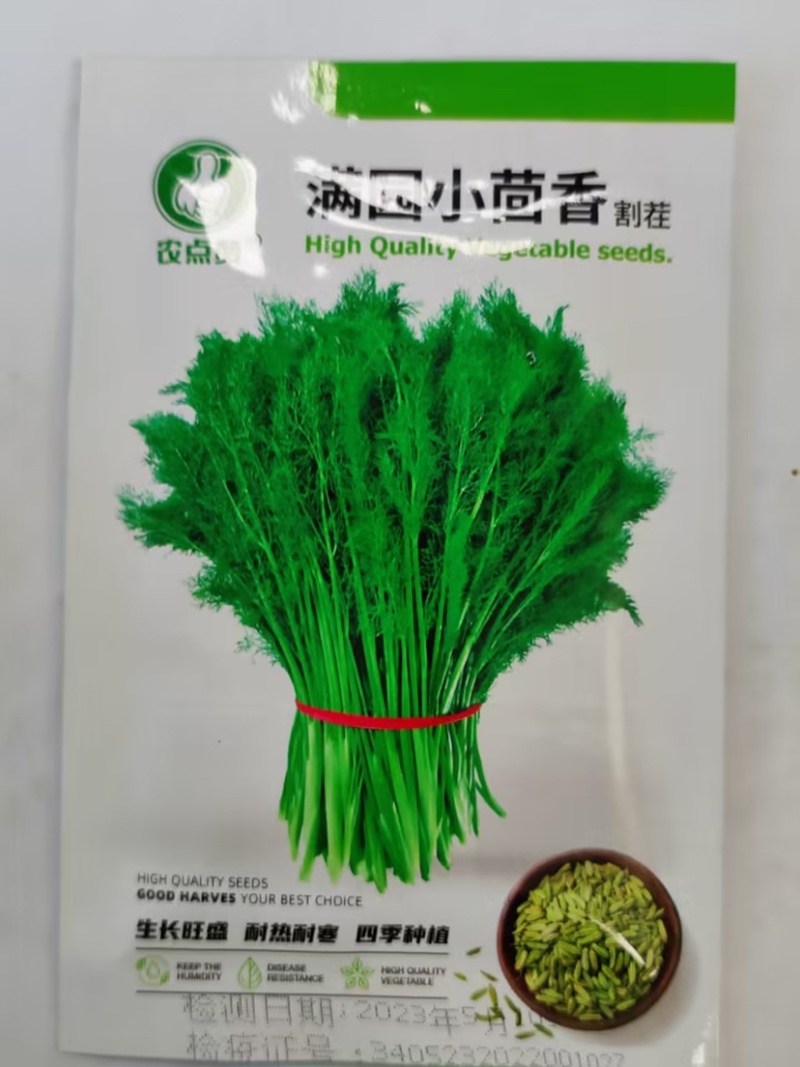 小茴香籽-可多次采收抗病性好生长期短再生能力强