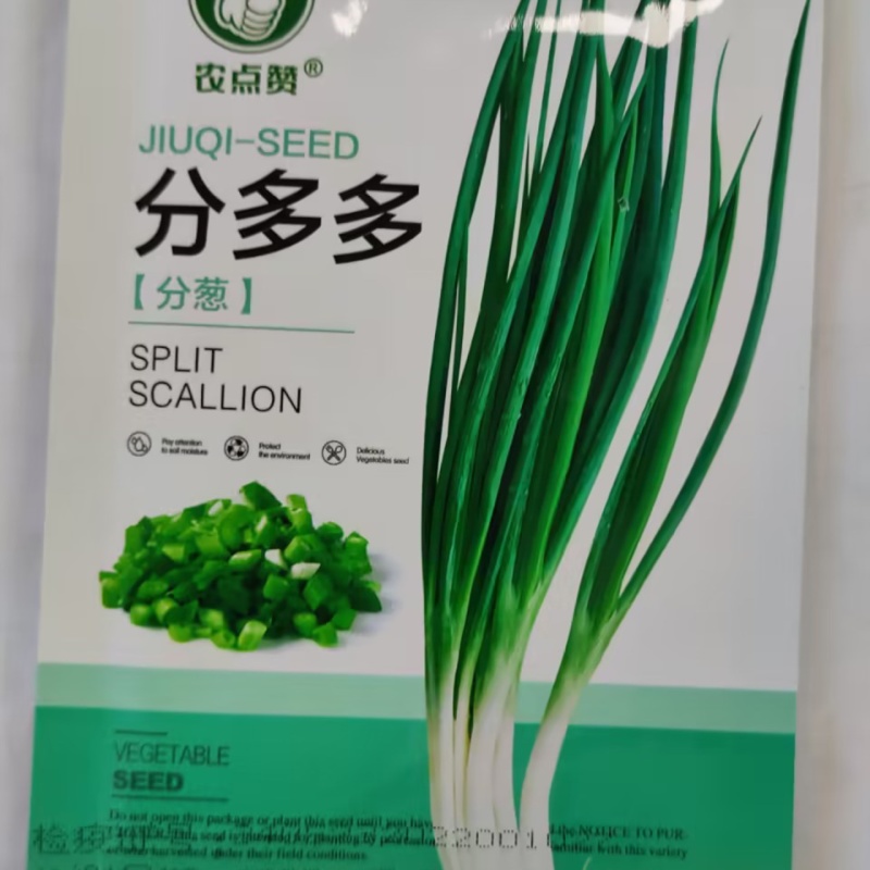 分多多（分葱种子）易栽培根系发达耐热耐寒性强产量高