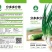 分多多（分葱种子）易栽培根系发达耐热耐寒性强产量高