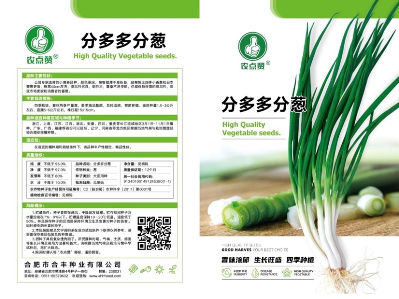 分多多（分葱种子）易栽培根系发达耐热耐寒性强产量高