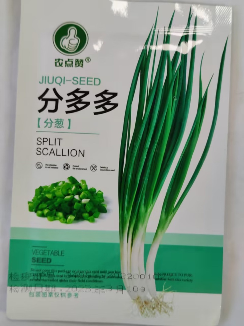 分多多（分葱种子）易栽培根系发达耐热耐寒性强产量高