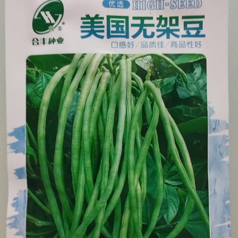 豇豆种子-肉厚脆嫩囗感佳纤维少容易栽培无需搭架