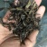 普洱老乌山茶叶