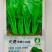 青梗小白菜种子-早熟丰产抗病生长快品质好