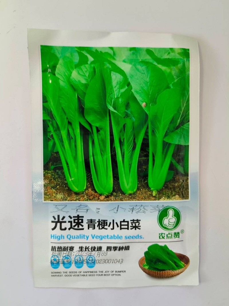 青梗小白菜种子-早熟丰产抗病生长快品质好