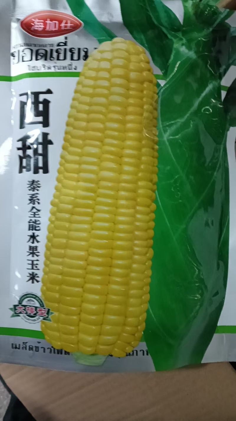 甜玉米种子