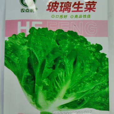 玻璃生菜种子-颜色嫩绿耐热性好株型大喜潮湿