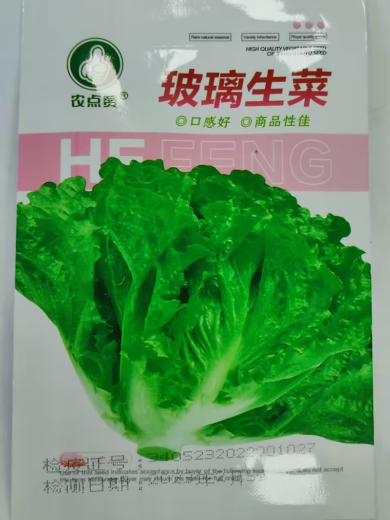 玻璃生菜种子-颜色嫩绿耐热性好株型大喜潮湿