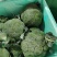 出口高品质西兰花，量大价优，品质稳定可电商，可出口