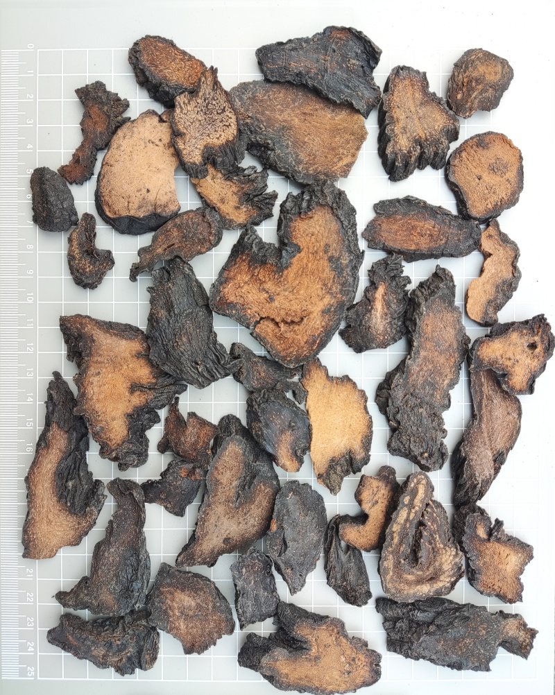 管花肉苁蓉硬大芸大云红柳大芸大量走货整根新疆肉苁蓉
