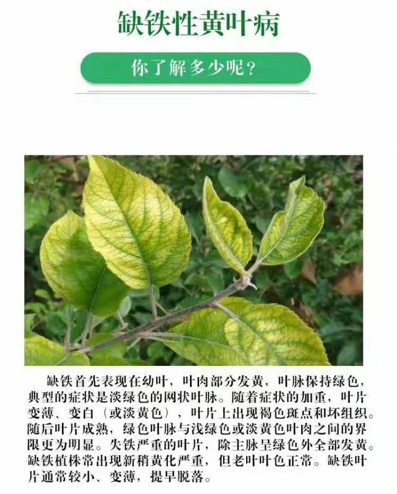 螯合铁，单质铁肥，有机铁肥，每袋5公斤，一箱四袋