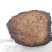 管花肉苁蓉硬大芸大云红柳大芸大量走货整根新疆肉苁蓉