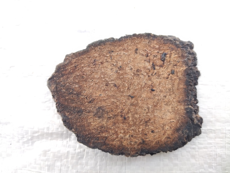 管花肉苁蓉硬大芸大云红柳大芸大量走货整根新疆肉苁蓉