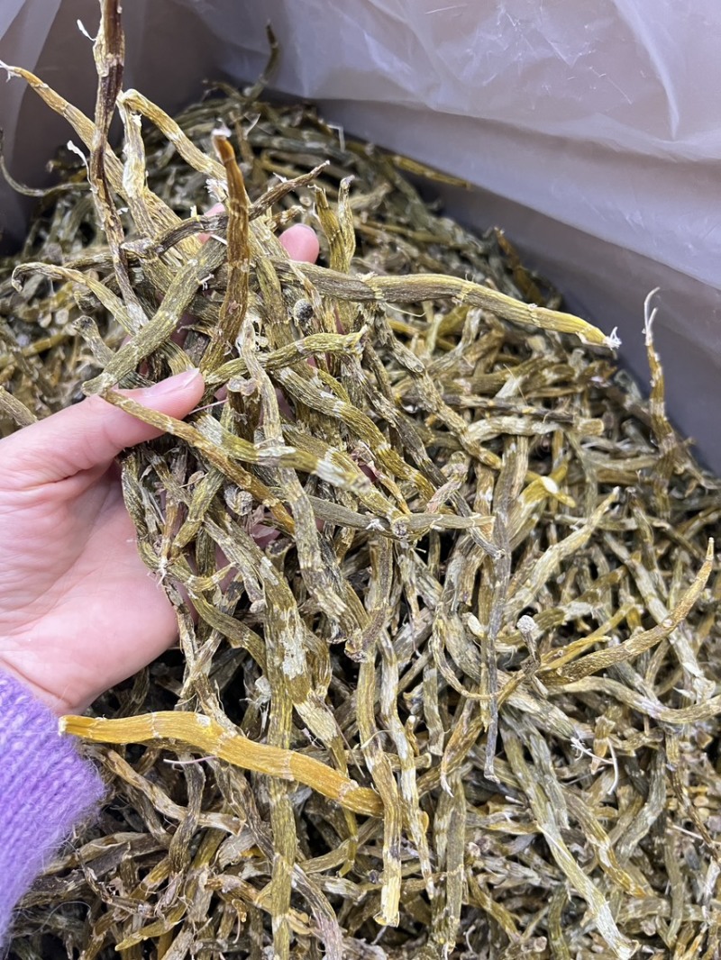 珍虫石斛云南珍虫石斛货供应