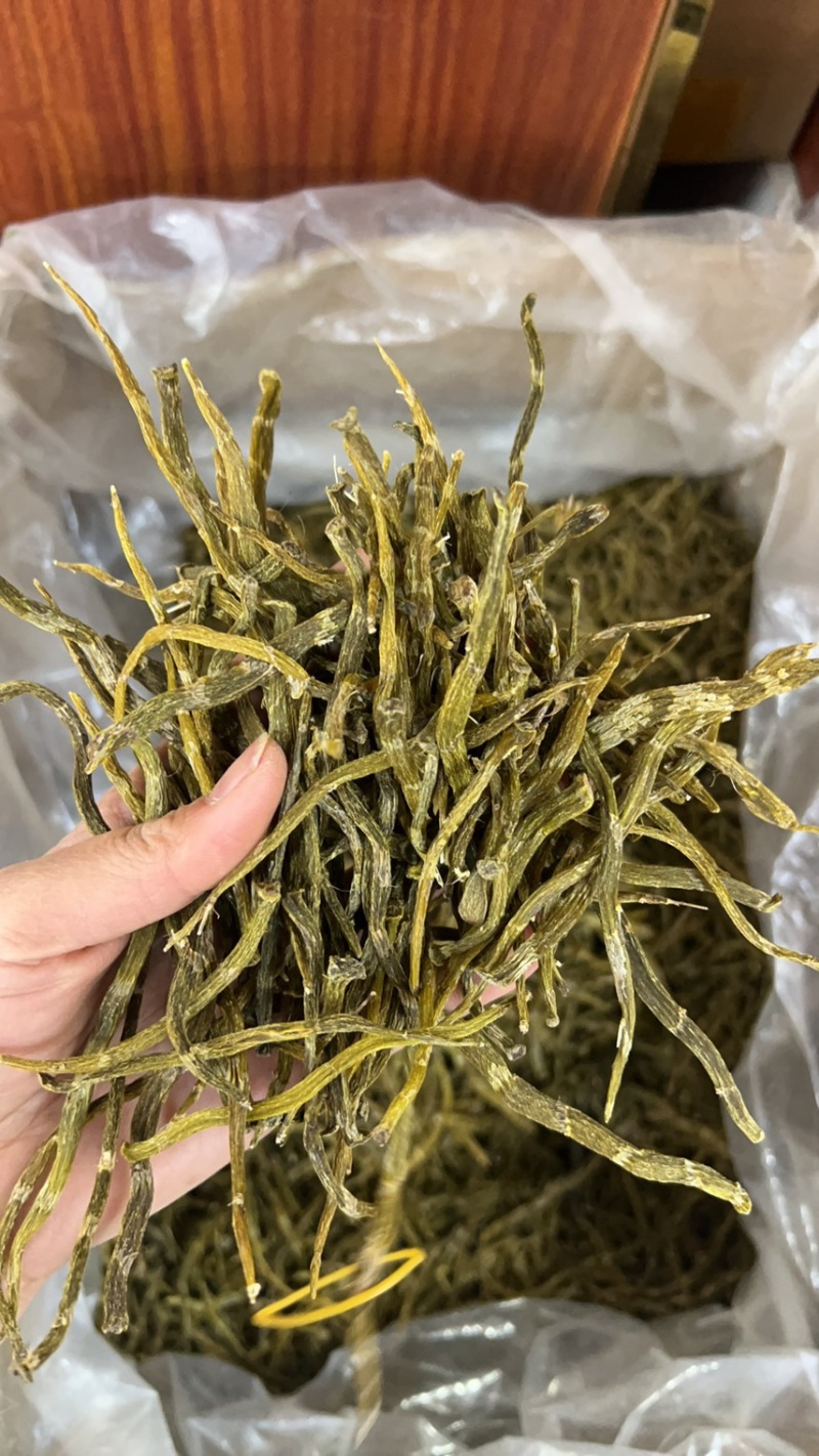 珍虫石斛云南珍虫石斛货供应