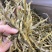 珍虫石斛云南珍虫石斛货供应