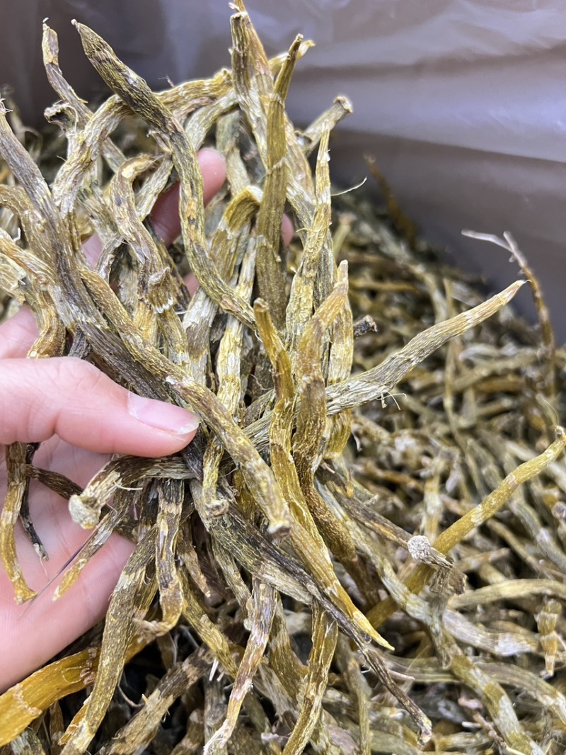 珍虫石斛云南珍虫石斛货供应