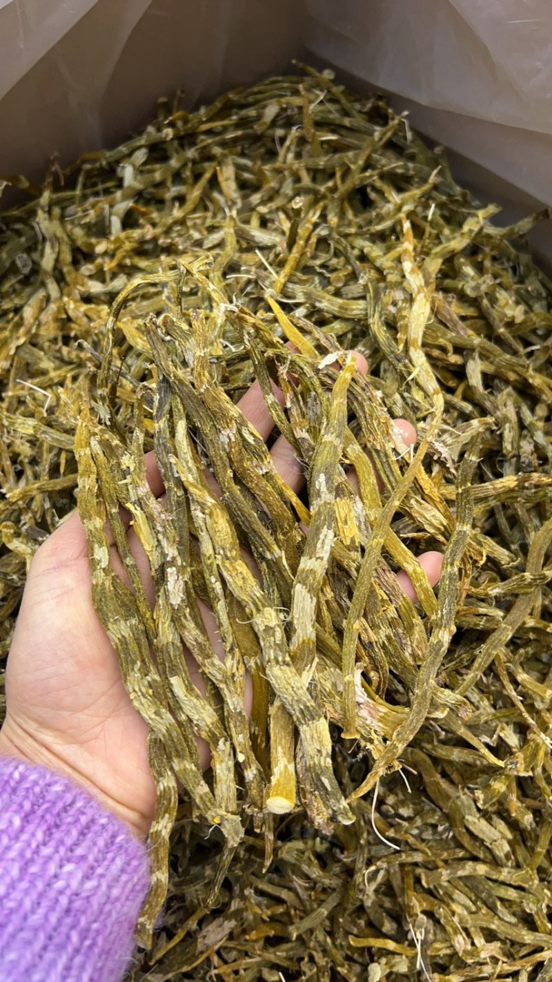 珍虫石斛云南珍虫石斛货供应