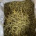 珍虫石斛云南珍虫石斛货供应