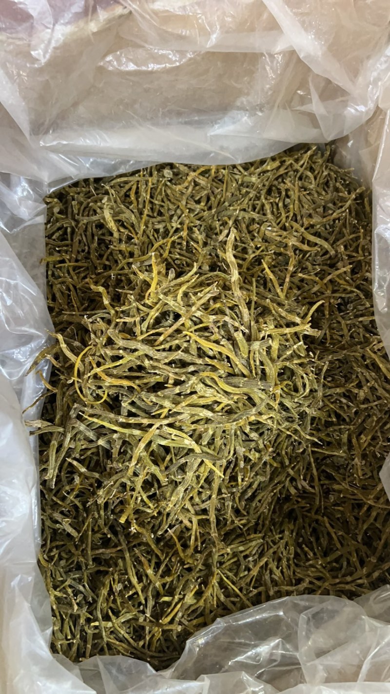 珍虫石斛云南珍虫石斛货供应