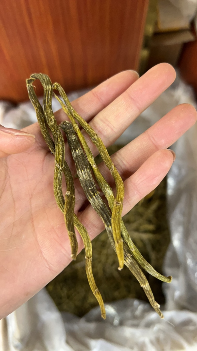 珍虫石斛云南珍虫石斛货供应