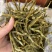 珍虫石斛云南珍虫石斛货供应