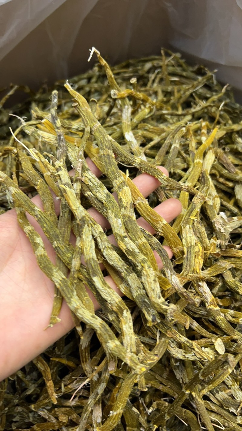 珍虫石斛云南珍虫石斛货供应