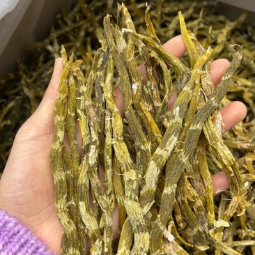 珍虫石斛云南珍虫石斛货供应