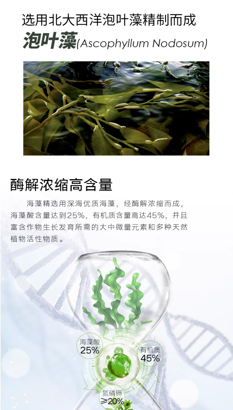 海藻精含腐殖酸水溶肥生根壮根肥料提质增产厂家直销