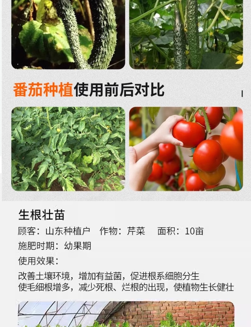 海藻精含腐殖酸水溶肥生根壮根肥料提质增产厂家直销