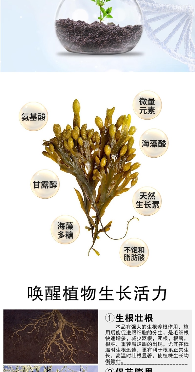 海藻精含腐殖酸水溶肥生根壮根肥料提质增产厂家直销