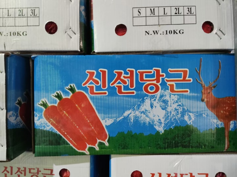 出口韩国胡萝卜山东寿光源头发货