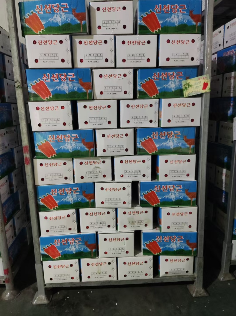 出口韩国胡萝卜山东寿光源头发货