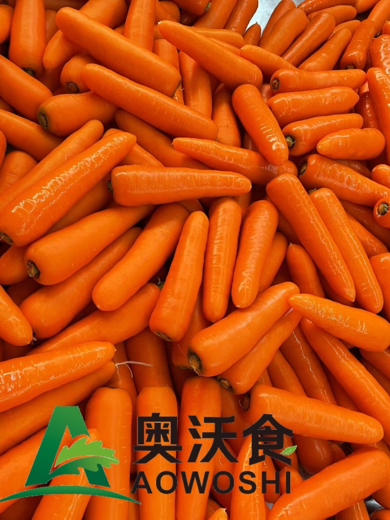 出口标准-胡萝卜