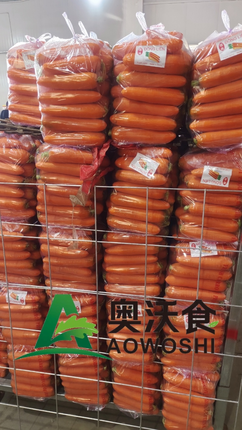出口标准-胡萝卜