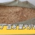 麦糠方块干净无尘无水