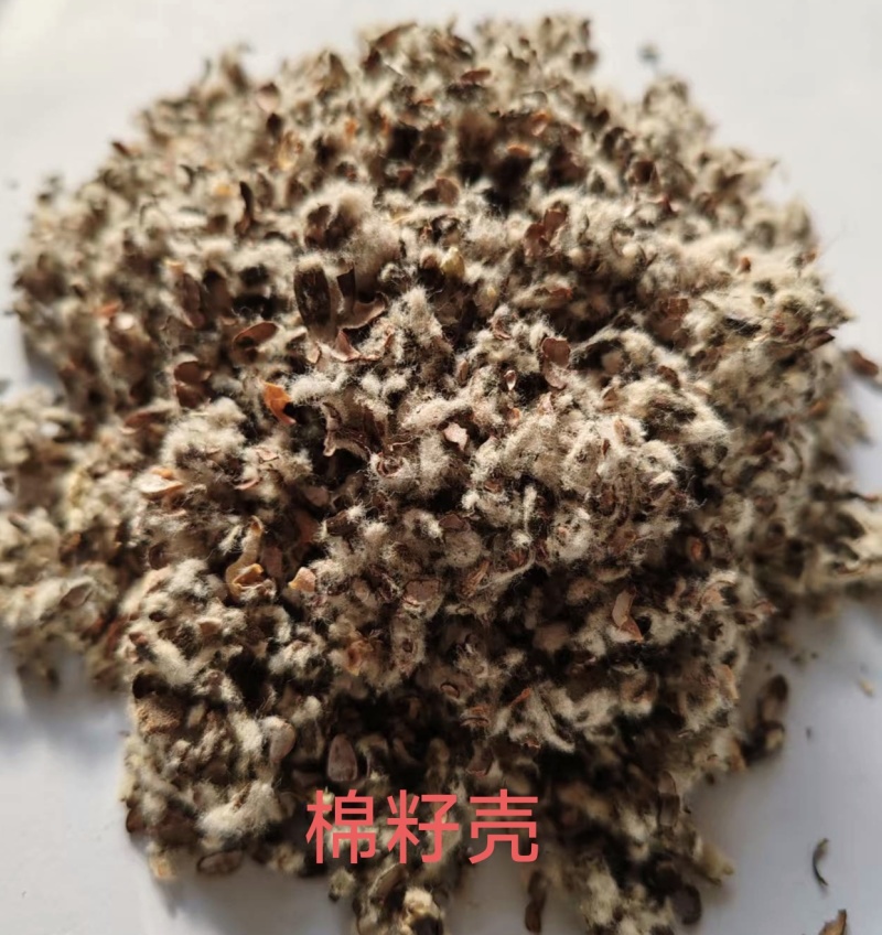 棉籽壳