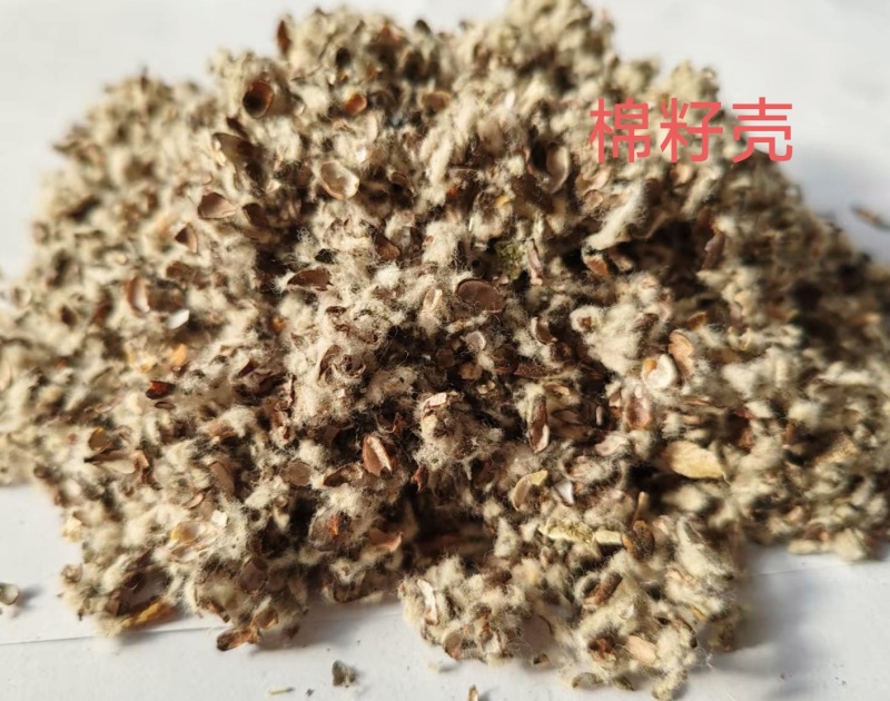 棉籽壳