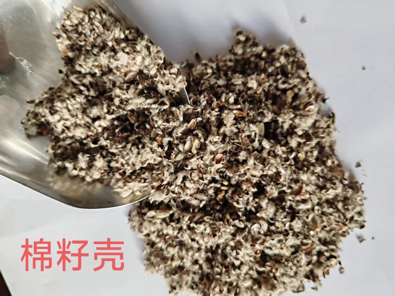 棉籽壳