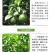 微量元素（硼肥）促进花芽分化，提高坐果率，防治果实空心