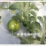 微量元素（硼肥）促进花芽分化，提高坐果率，防治果实空心