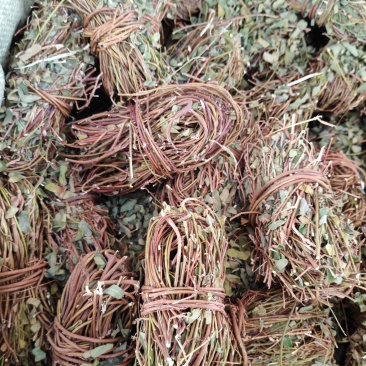 鸡骨草