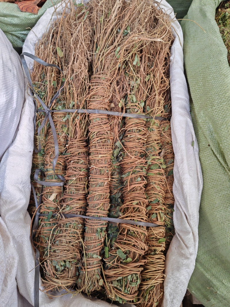 鸡骨草