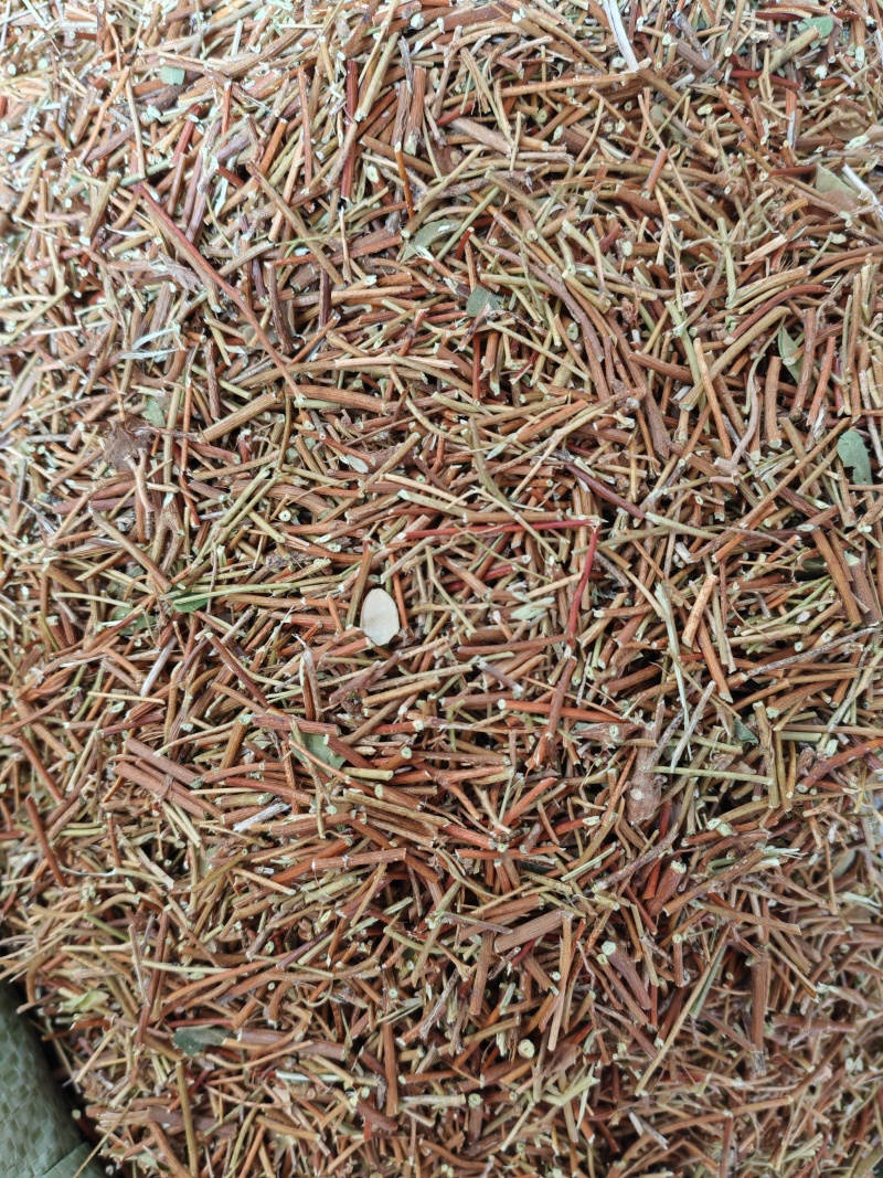 鸡骨草