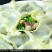 纯手工水饺，品种齐全，品质保证，没有最好只有更好