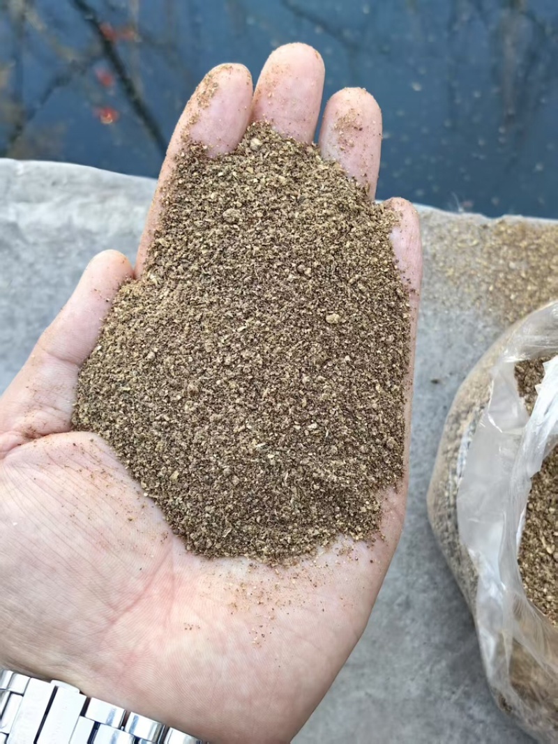 玉米酒糟DDGS大量有货量大可电话议价
