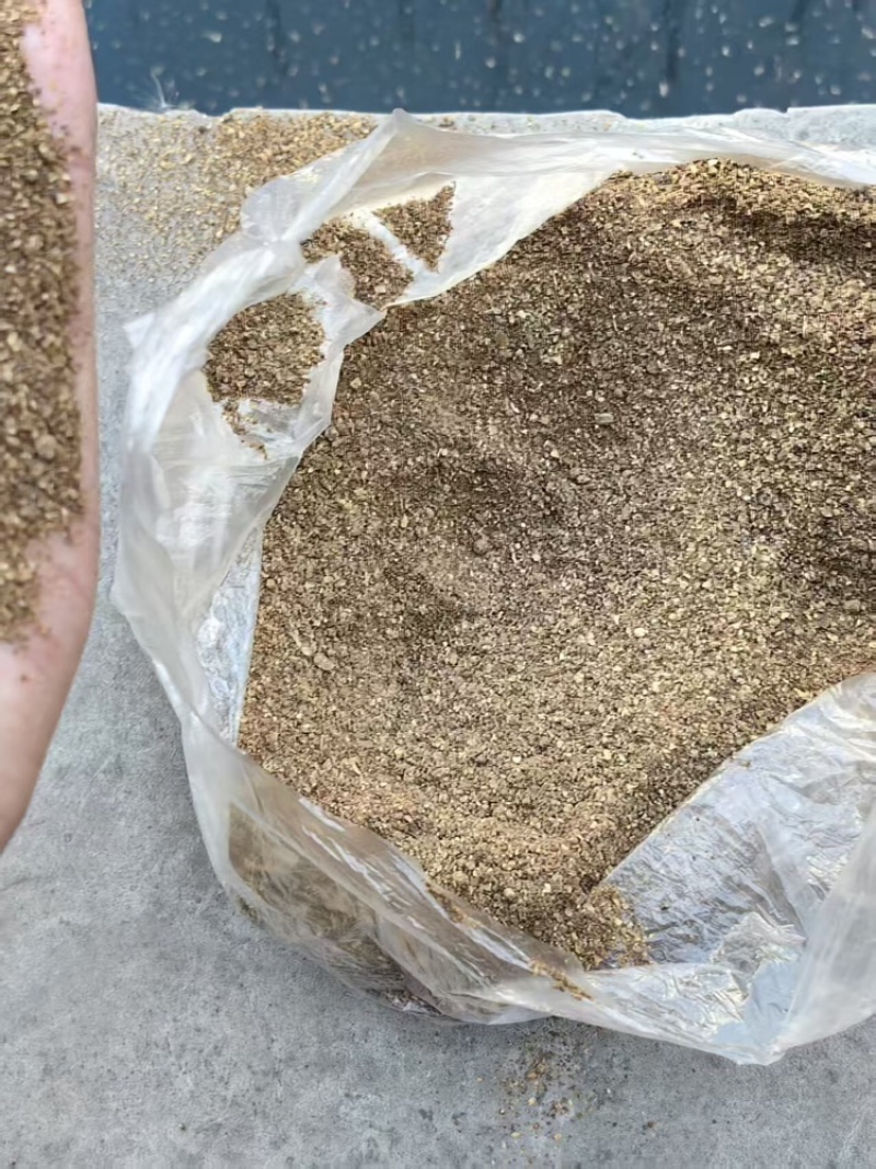 玉米酒糟DDGS大量有货量大可电话议价