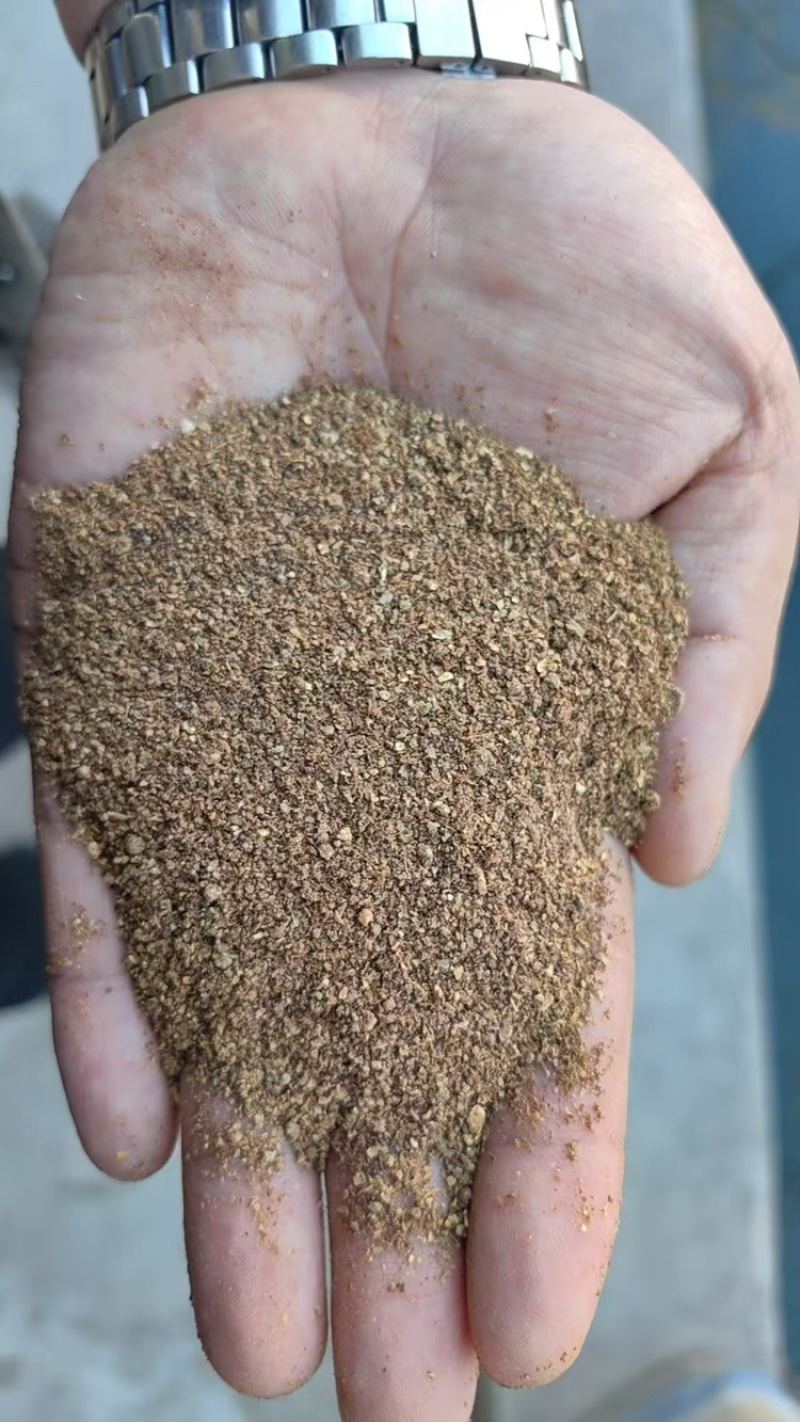 玉米酒糟DDGS大量有货量大可电话议价