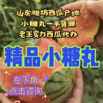 小糖丸产地直供包熟包甜包售后代发全国小糖丸西瓜