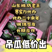 L600全美2k西瓜山东潍坊小糖丸西瓜基地